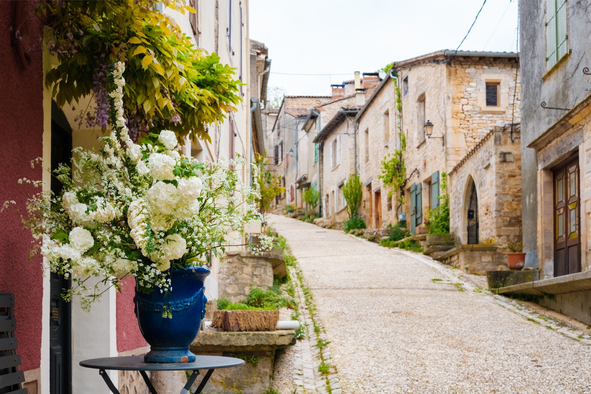 Découvrir la faune et la flore du massif des Maures hotel var — Découvrir la faune et la flore du massif des Maures