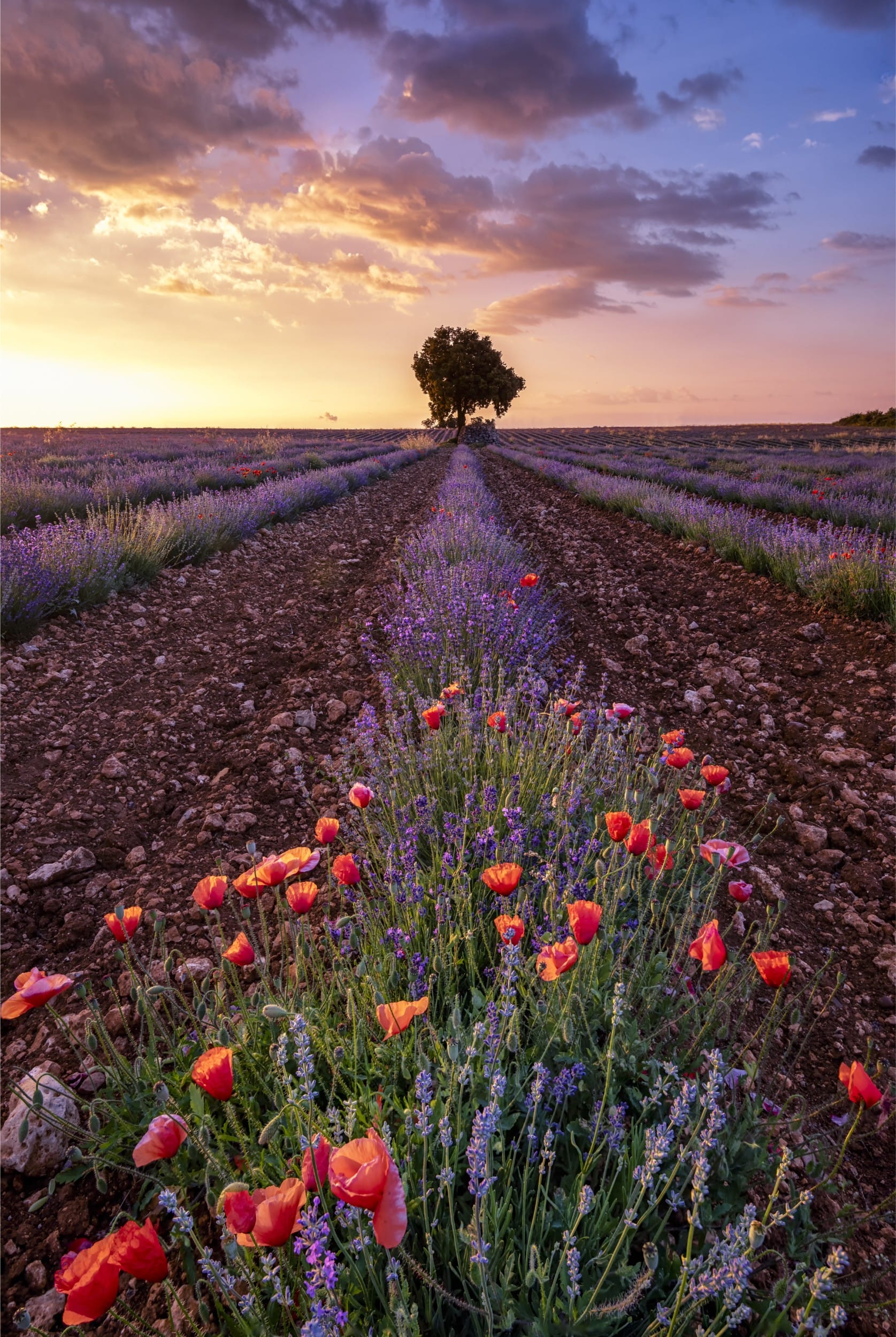 Les plus beaux villages médiévaux de Provence restaurant var — Les plus beaux villages médiévaux de Provence